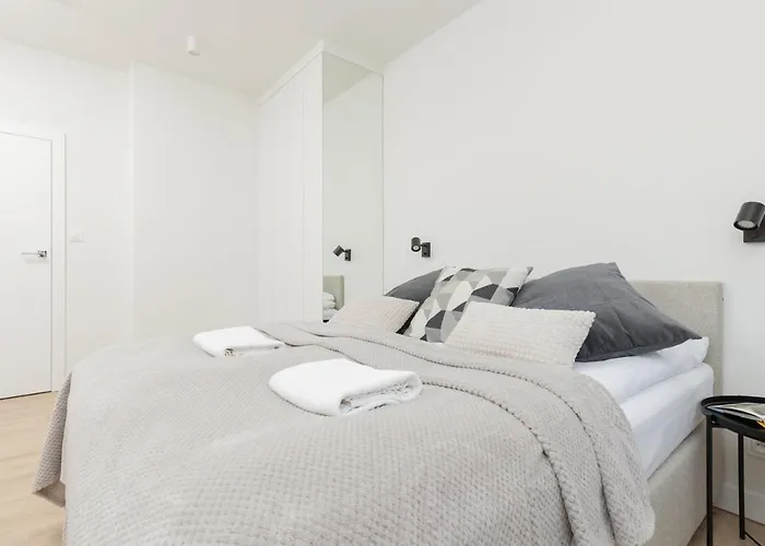 Amazing Spacious In Center By Renters * Warsaw