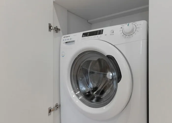 Amazing Spacious In Center By Renters Apartment *