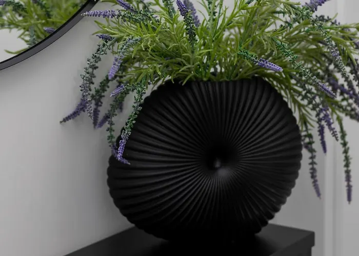 Amazing Spacious In Center By Renters Warsaw