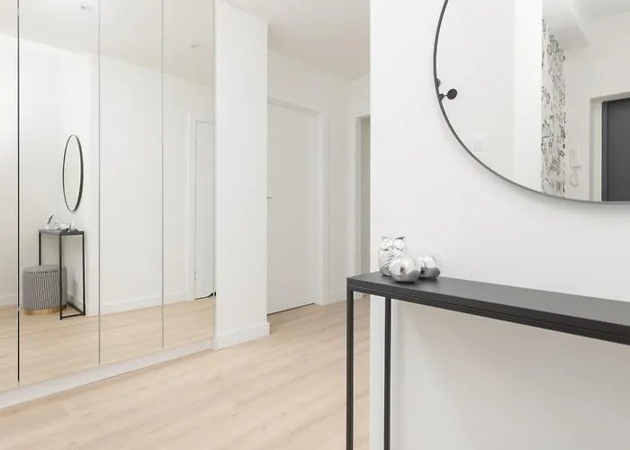 Amazing Spacious In Center By Renters Apartment